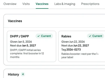 Bear's Vaccines tab: DHPP and rabies, both current, with next due dates and the rabies tag.